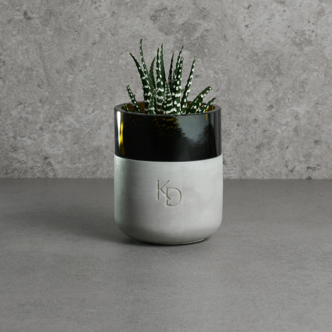 Glass and Concrete Jar